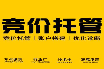 成功案例揭秘：百度竞价账户托管的运营之道
